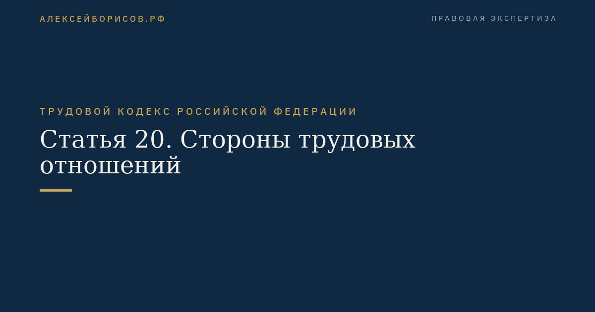 Статья 20. Стороны трудовых отношений