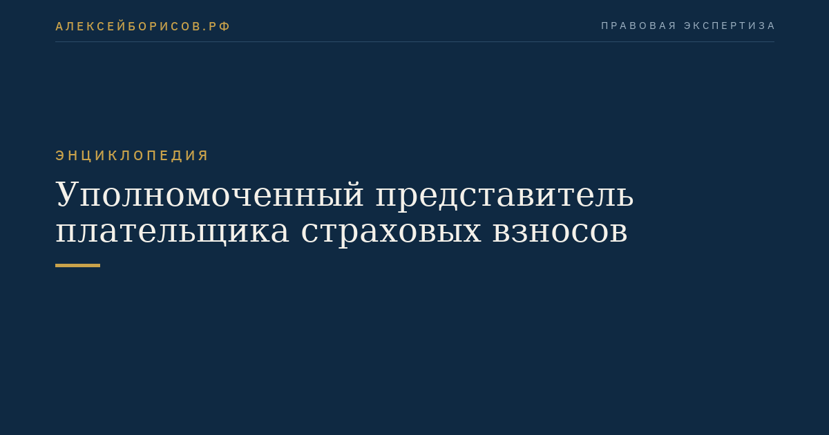 Уполномоченный представитель плательщика страховых взносов