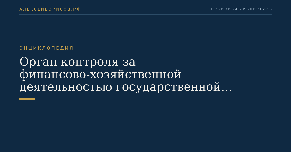 Орган контроля за финансово-хозяйственной деятельностью государственной компании
