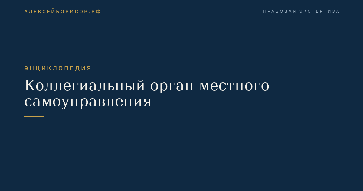 Коллегиальный орган местного самоуправления