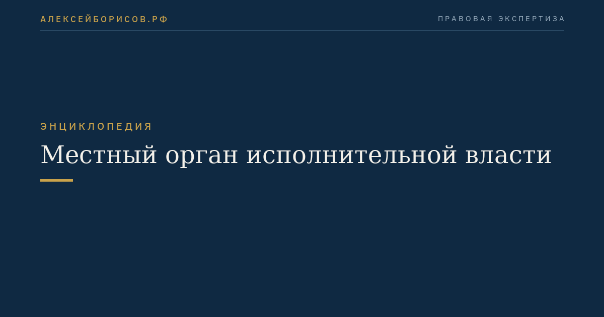 Местный орган исполнительной власти