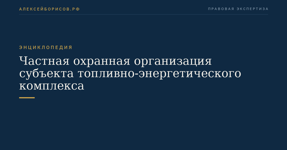 Частная охранная организация субъекта топливно-энергетического комплекса