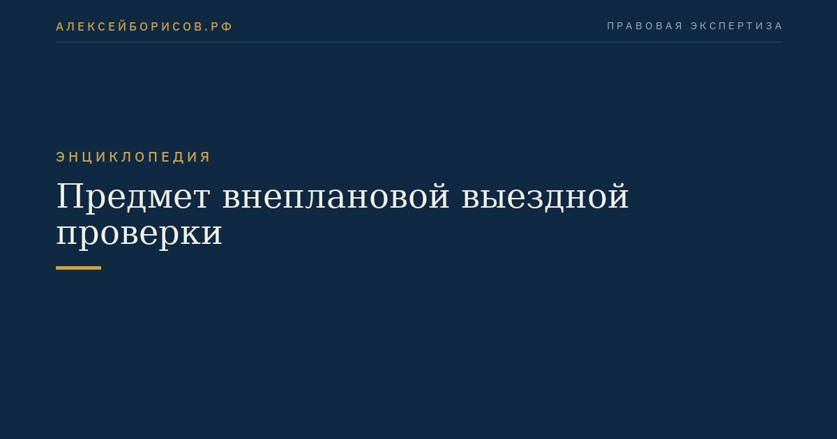 Предмет внеплановой выездной проверки