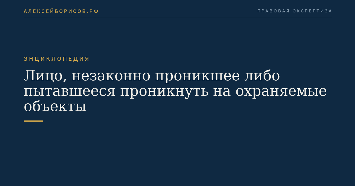 Лицо, незаконно проникшее либо пытавшееся проникнуть на охраняемые объекты