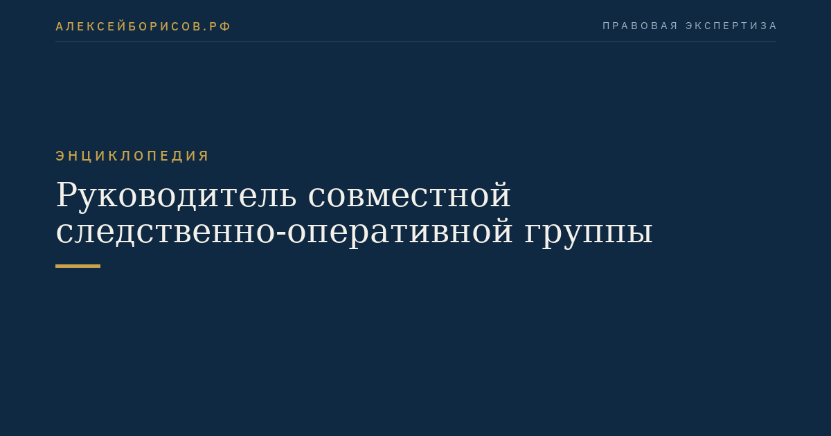 Руководитель совместной следственно-оперативной группы
